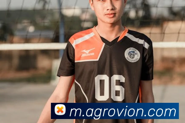 App Interface Preview